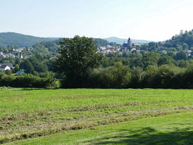 100 Jahrfeier Weingartenkapelle in Naumburg mit Bischof Dr. Michael Gerber (Foto. Karl-Franz Thiede)